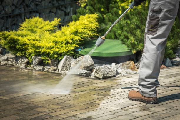 Best Roof Cleaning and Mildew Removal in Stone Park, IL